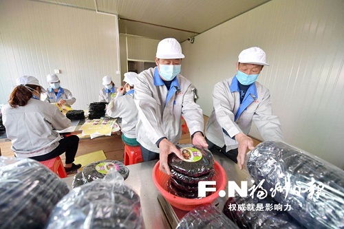 吸引19名脱贫户入股自己经营的企业 扶贫 老猫 和乡亲 分鱼